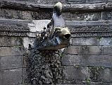 Kathmandu Bhaktapur 05-2 Bhaktapur Durbar Square Naga Pokhari Goats Head Water Spout Water pours from a goats head that protrudes from the mouth of a crocodile demon in the Naga Pokhari in the Palace of 55 Windows in Bhaktapurs Durbar Square.